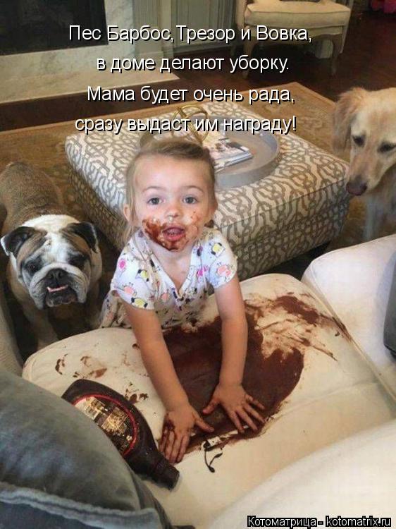 Котоматрица: Пес Барбос,Трезор и Вовка, в доме делают уборку. Мама будет очень рада, сразу выдаст им награду!