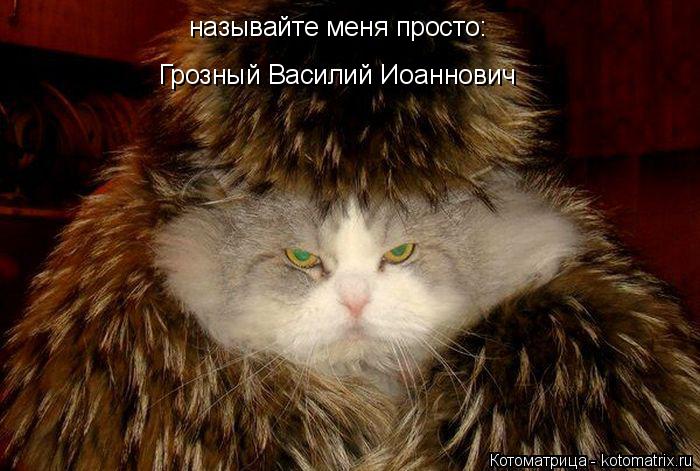 Котоматрица: называйте меня просто: Грозный Василий Иоаннович