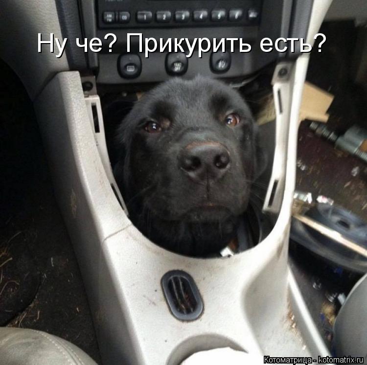 Котоматрица: Ну че? Прикурить есть?