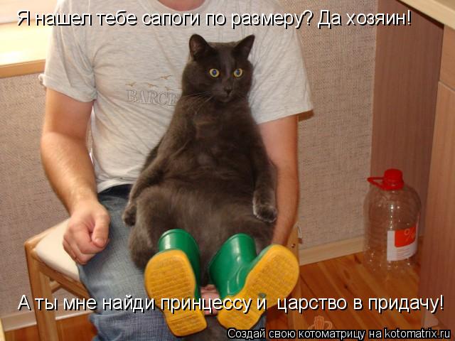 Котоматрица: Я нашел тебе сапоги по размеру? Да хозяин! А ты мне найди принцессу и  царство в придачу!