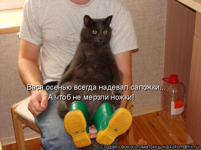 Котоматрица: Вася осенью всегда надевал сапожки... А чтоб не мерзли ножки!