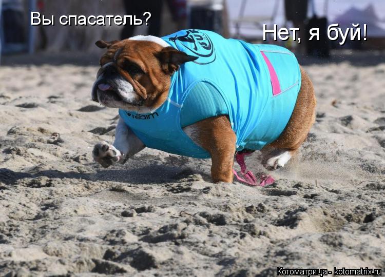 Котоматрица: Вы спасатель? Нет, я буй!