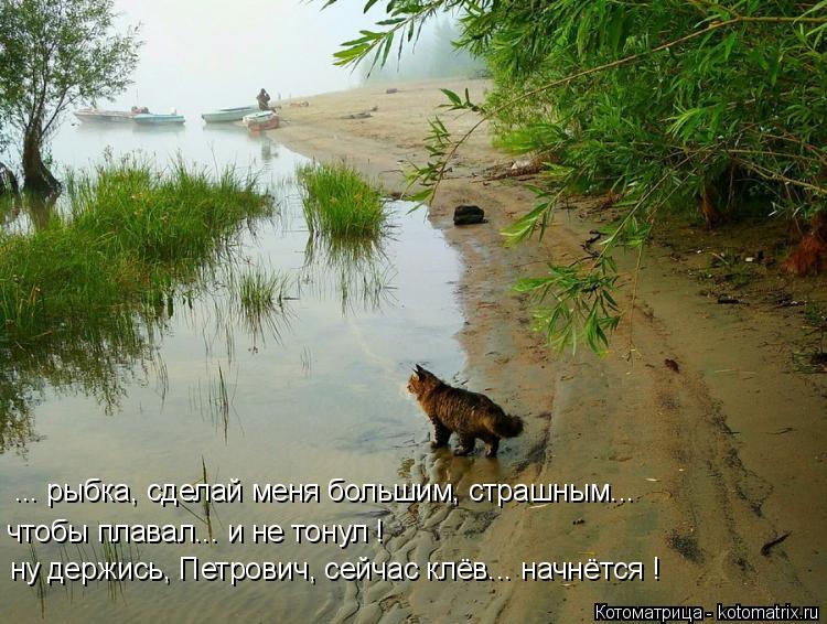Котоматрица: чтобы плавал... и не тонул ! ну держись, Петрович, сейчас клёв... начнётся ! ... рыбка, сделай меня большим, страшным...