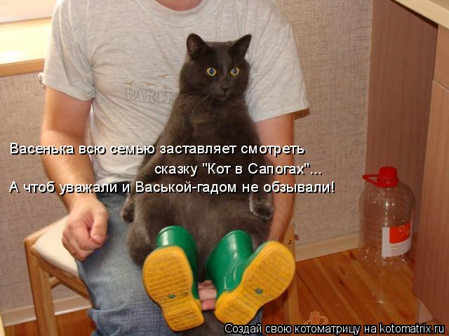 Котоматрица: Васенька всю семью заставляет смотреть  сказку "Кот в Сапогах"... А чтоб уважали и Васькой-гадом не обзывали!