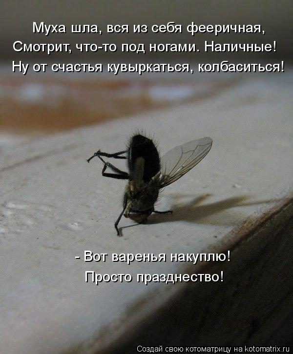 Муха шла, вся из себя фееричная, Смотрит, что-то под ногами. Наличные! Ну от счастья кувыркаться, кол... Котоматрица: Муха шла, вся из себя фееричная, Смотрит, что-то под ногами. Наличные! Ну от счастья кувыркаться, колбаситься! - Вот варенья накуплю! Просто пр