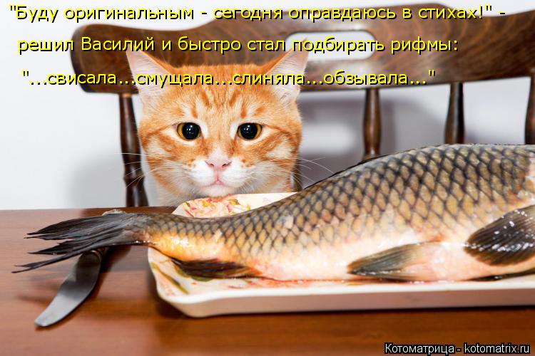 решил Василий и быстро стал подбирать рифмы: "...свисала...смущала...слиняла...обзывала..." "Буду ор... Котоматрица: решил Василий и быстро стал подбирать рифмы: "...свисала...смущала...слиняла...обзывала..." "Буду оригинальным - сегодня оправдаюсь в стихах!" -
