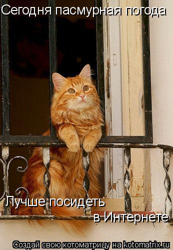 Котоматрица: Сегодня пасмурная погода Лучше посидеть в Интернете