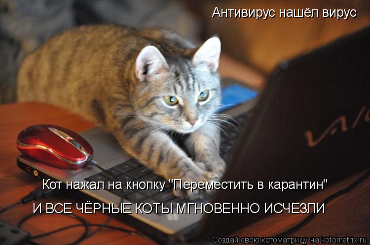 Котоматрица: Антивирус нашёл вирус Кот нажал на кнопку "Переместить в карантин" И ВСЕ ЧЁРНЫЕ КОТЫ МГНОВЕННО ИСЧЕЗЛИ
