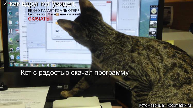 Котоматрица: И как вдруг кот увидел: ВЕЧНО ЛАГАЕТ КОМПЬЮТЕР? Без паники! Мы остановим лаги! СКАЧАТЬ Кот с радостью скачал программу