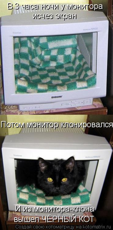 Котоматрица: В 3 часа ночи у монитора исчез экран Потом монитор клонировался И из монитора-клона вышел ЧЁРНЫЙ КОТ