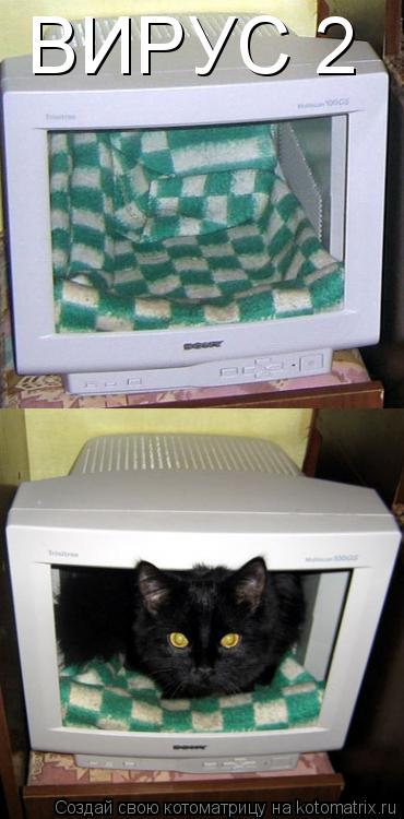 Котоматрица: ВИРУС 2
