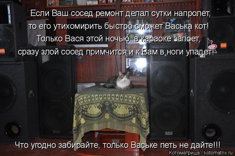 Котоматрица: Если Ваш сосед ремонт делал сутки напролет, то его утихомирить быстро сможет Васька кот! Только Вася этой ночью  в караоке запоет, сразу зло