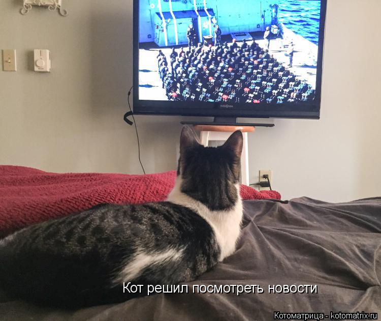 Котоматрица: Кот решил посмотреть новости