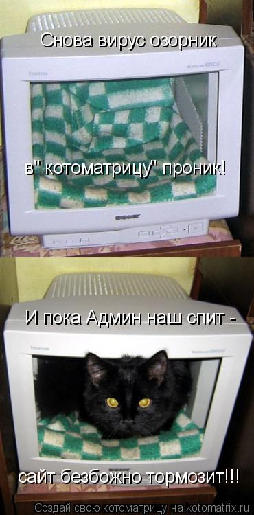 Котоматрица: Снова вирус озорник  в" котоматрицу" проник! И пока Админ наш спит - сайт безбожно тормозит!!!