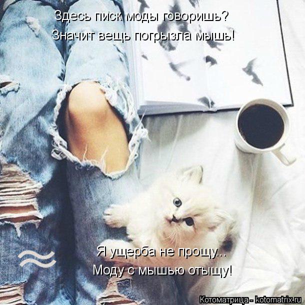 Котоматрица: Здесь писк моды говоришь? Значит вещь погрызла мышь! Я ущерба не прощу... Моду с мышью отыщу!