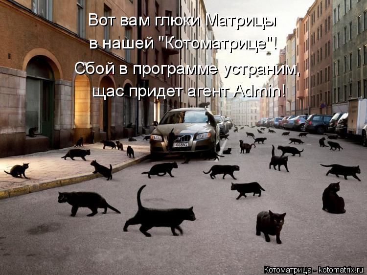Котоматрица: Вот вам глюки Матрицы в нашей "Котоматрице"!  щас придет агент Admin! Сбой в программе устраним,