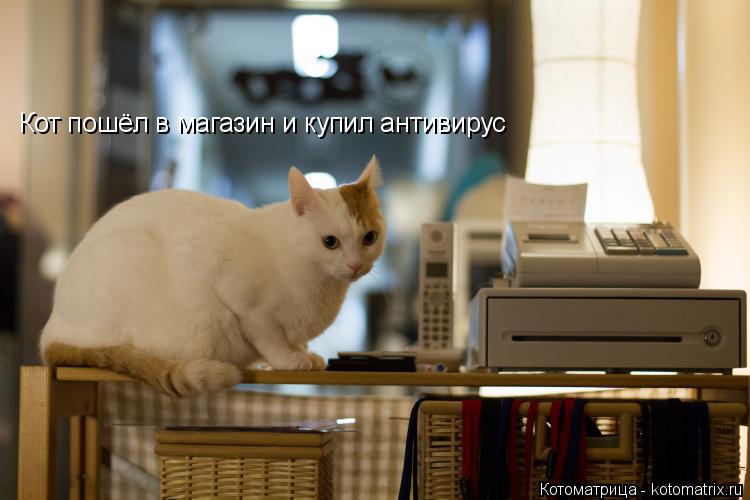 Котоматрица: Кот пошёл в магазин и купил антивирус