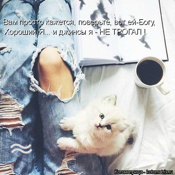 Котоматрица: Вам просто кажется, поверьте, вот ей-Богу, Хороший Я... и джинсы я - НЕ ТРОГАЛ !