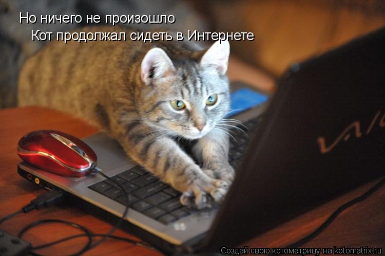 Котоматрица: Но ничего не произошло Кот продолжал сидеть в Интернете