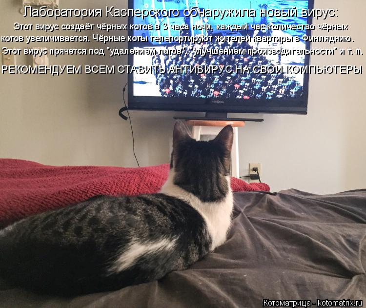 Котоматрица: Лаборатория Касперского обнаружила новый вирус: Этот вирус создаёт чёрных котов в 3 часа ночи, каждый час количество чёрных Этот вирус пряч