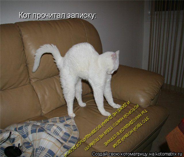 Котоматрица: Кот прочитал записку: ЭТО ТВОЙ НОВЫЙ ДОМ! ТЫ НАХОДИШЬСЯ В СТРАНЕ КОТОРОЙ НИКТО ТЕБЯ НЕ ПОЙМУТ! И ДАЖЕ НЕ ДУМАЙ ВОЗВРАЩАТЬСЯ ДОМОЙ