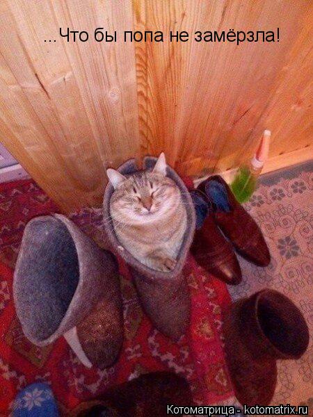 Котоматрица: ...Что бы попа не замёрзла!