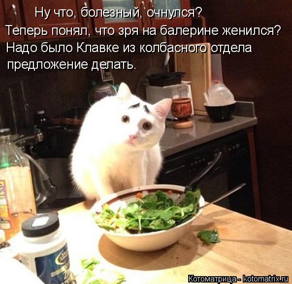 Котоматрица: Ну что, болезный, очнулся? Теперь понял, что зря на балерине женился? Надо было Клавке из колбасного отдела  предложение делать.