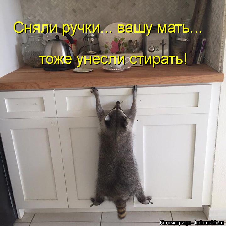 Котоматрица: Сняли ручки... вашу мать... тоже унесли стирать!