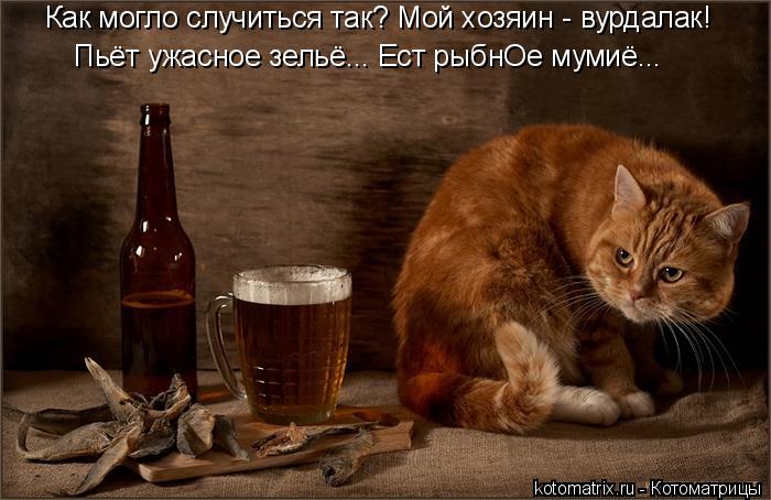 Котоматрица: Как могло случиться так? Мой хозяин - вурдалак! Пьёт ужасное зельё... Ест рыбнОе мумиё...