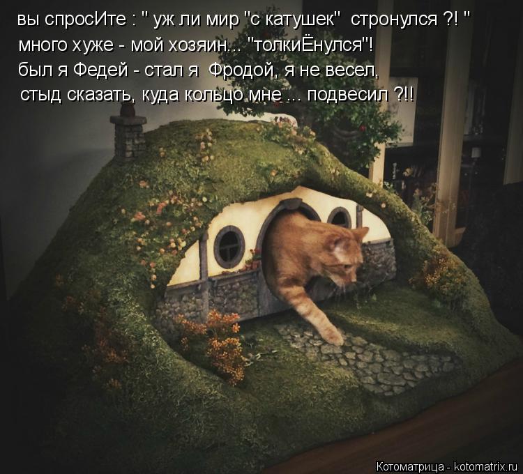 Котоматрица: вы спросИте : " уж ли мир "с катушек"  стронулся ?! " много хуже - мой хозяин... "толкиЁнулся"! был я Федей - стал я  Фродой, я не весел, стыд сказать, 