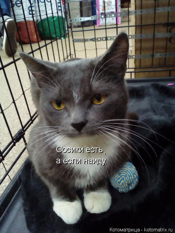Котоматрица: Сосики есть , а если наиду.