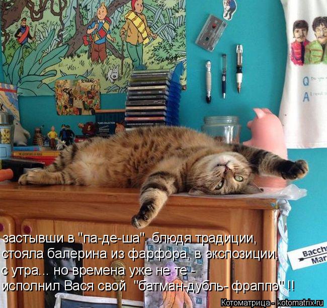 Котоматрица: застывши в "па-де-ша", блюдя традиции, стояла балерина из фарфора, в экспозиции, с утра... но времена уже не те -  исполнил Вася свой  "батман-дуб