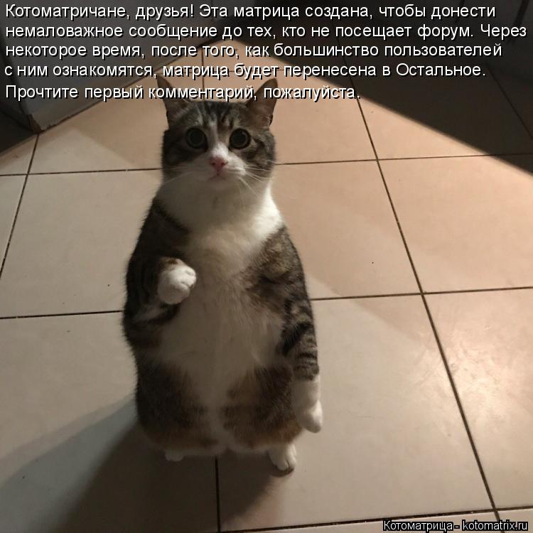 Котоматричане, друзья! Эта матрица создана, чтобы донести немаловажное сообщение до тех, кто не посе... Котоматрица: Котоматричане, друзья! Эта матрица создана, чтобы донести немаловажное сообщение до тех, кто не посещает форум. Через некоторое время, пос