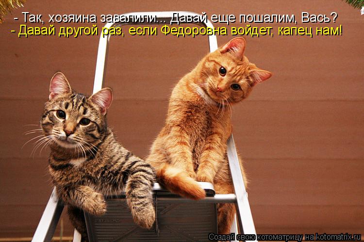 Котоматрица: - Так, хозяина завалили... Давай еще пошалим, Вась? - Давай другой раз, если Федоровна войдет, капец нам!