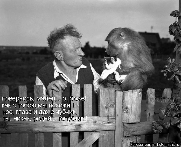 Котоматрица: повернись, малец... о, боже! как с тобою мы похожи ! нос, глаза и даже чубчик, ты, никак, родня... голубчик !