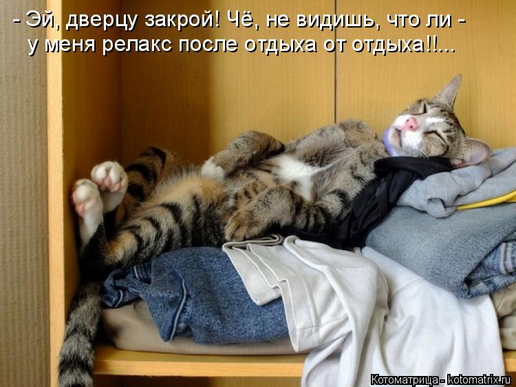 - Эй, дверцу закрой! Чё, не видишь, что ли - у меня релакс после отдыха от отдыха!!...... Котоматрица: - Эй, дверцу закрой! Чё, не видишь, что ли - у меня релакс после отдыха от отдыха!!...