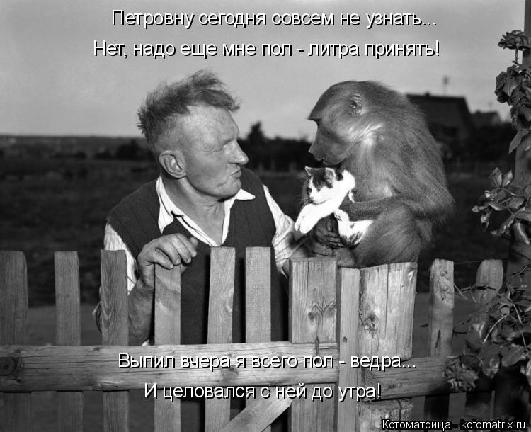 Котоматрица: Петровну сегодня совсем не узнать... Нет, надо еще мне пол - литра принять! Выпил вчера я всего пол - ведра... И целовался с ней до утра!