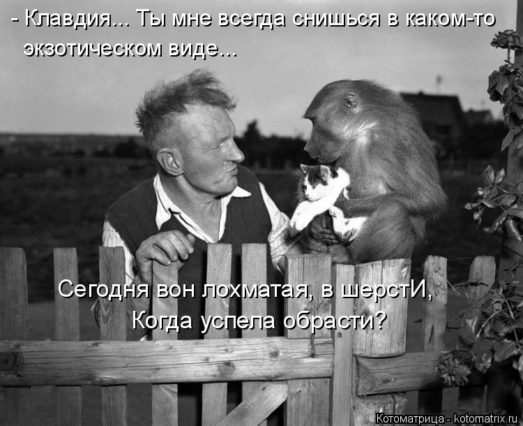 Котоматрица: Когда успела обрасти? Сегодня вон лохматая, в шерстИ, - Клавдия... Ты мне всегда снишься в каком-то  экзотическом виде...