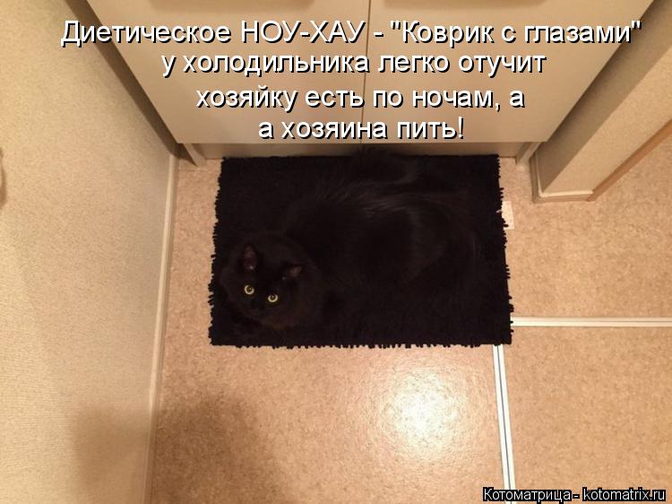 Диетическое НОУ-ХАУ - "Коврик с глазами" у холодильника легко отучит хозяйку есть по ночам, а а хоз... Котоматрица: Диетическое НОУ-ХАУ - "Коврик с глазами" у холодильника легко отучит хозяйку есть по ночам, а а хозяина пить!