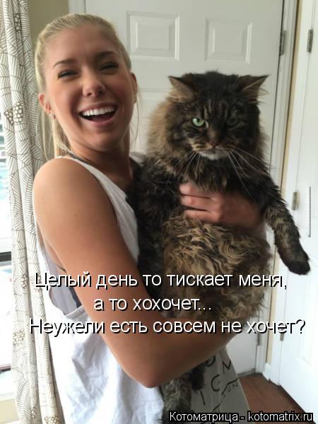Котоматрица: Целый день то тискает меня, а то хохочет... Неужели есть совсем не хочет?