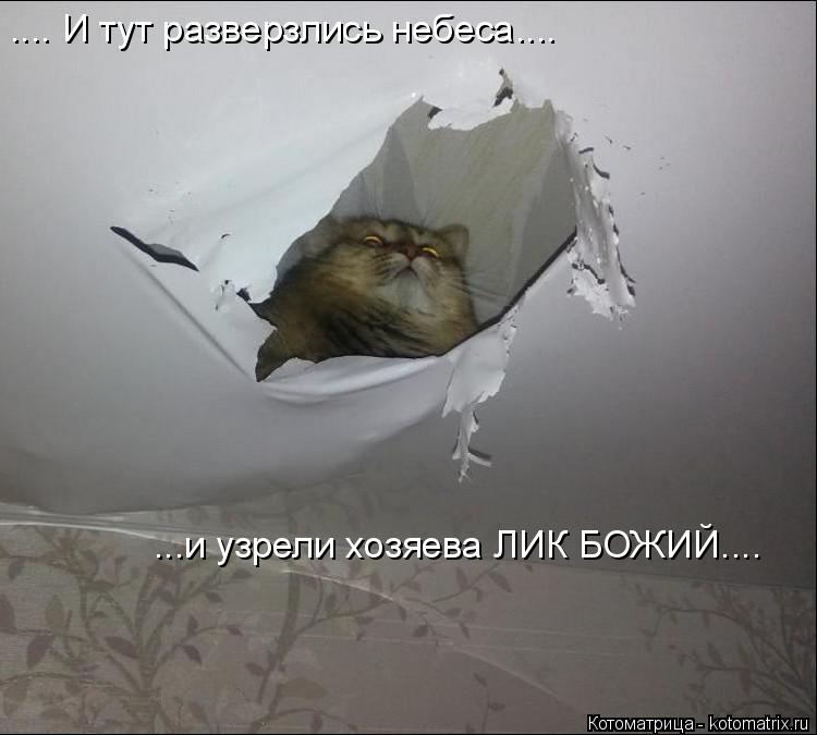 .... И тут разверзлись небеса.... ...и узрели хозяева ЛИК БОЖИЙ....... Котоматрица: .... И тут разверзлись небеса.... ...и узрели хозяева ЛИК БОЖИЙ....