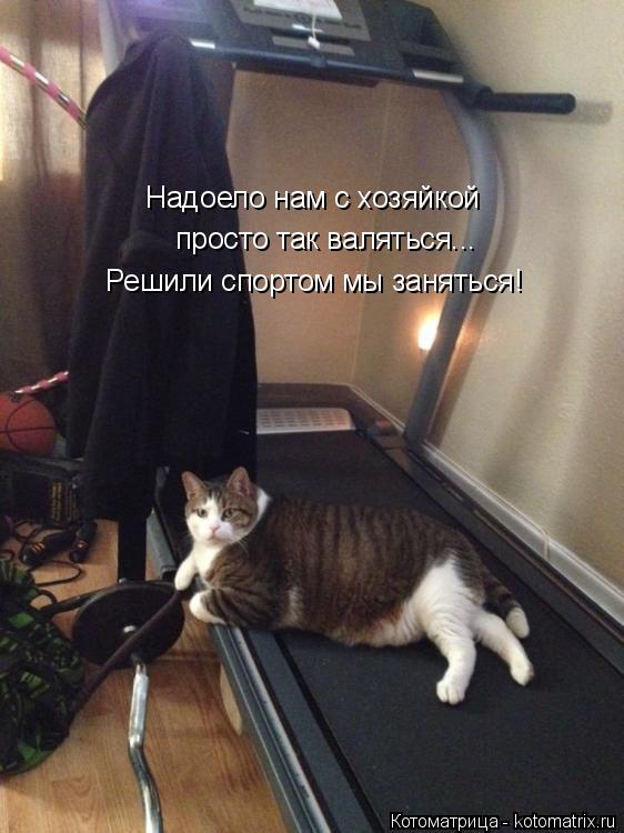 Котоматрица: Надоело нам с хозяйкой  просто так валяться... Решили спортом мы заняться!