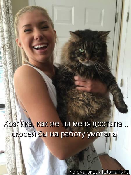 Котоматрица: Хозяйка, как же ты меня достала... скорей бы на работу умотала!