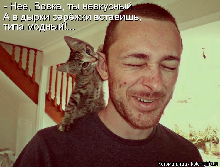 - Нее, Вовка, ты невкусный... А в дырки серёжки вставишь, типа модный!...... Котоматрица: - Нее, Вовка, ты невкусный... А в дырки серёжки вставишь, типа модный!...