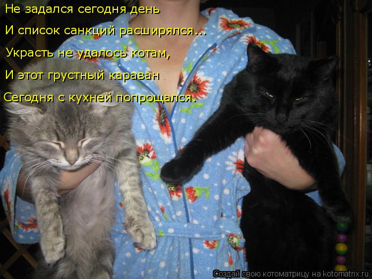 Не задался сегодня день И список санкций расширялся... Украсть не удалось котам, И этот грустный кара... Котоматрица: Не задался сегодня день И список санкций расширялся... Украсть не удалось котам, И этот грустный караван Сегодня с кухней попрощался.