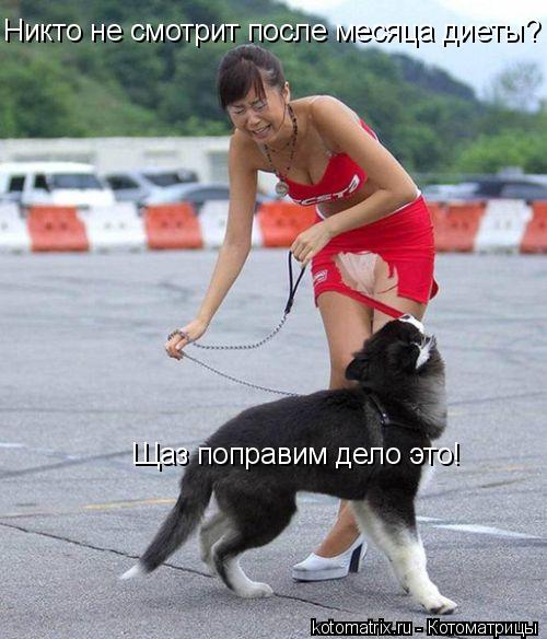 Котоматрица: Никто не смотрит после месяца диеты? Щаз поправим дело это!