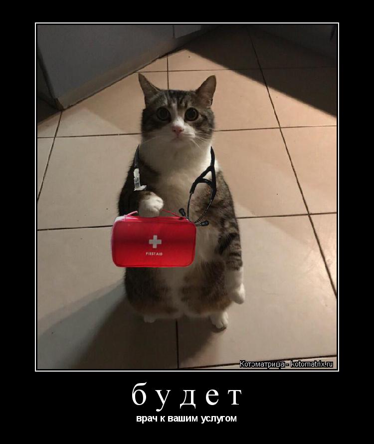 Котоматрица: будет врач к вашим услугом