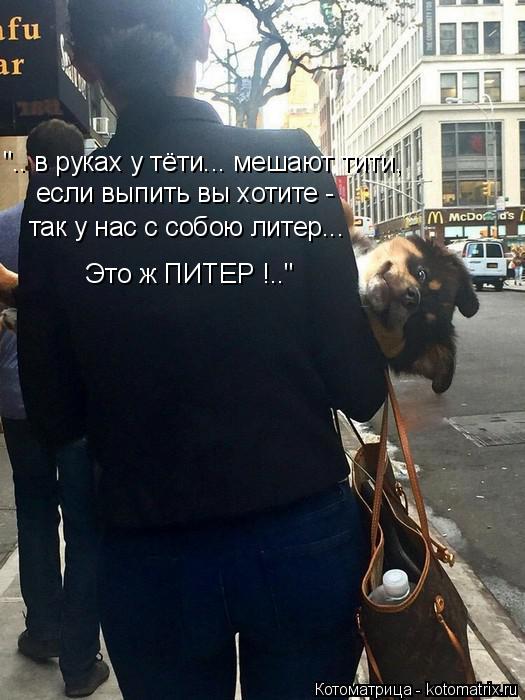 Котоматрица: Это ж ПИТЕР !.." ".. в руках у тёти... мешают тити, если выпить вы хотите -  так у нас с собою литер...