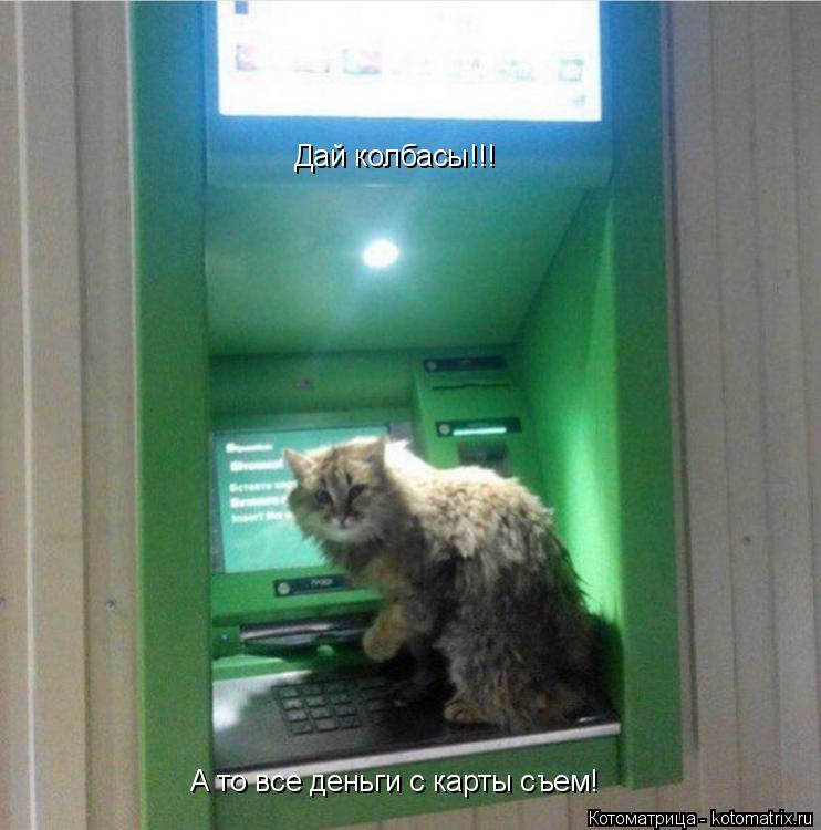 Котоматрица: Дай колбасы!!! А то все деньги с карты съем!