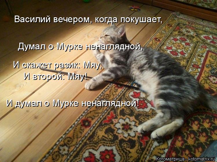 Котоматрица: Василий вечером, когда покушает, Думал о Мурке ненаглядной, И скажет разик: Мяу,  И второй: Мяу! И думал о Мурке ненаглядной!
